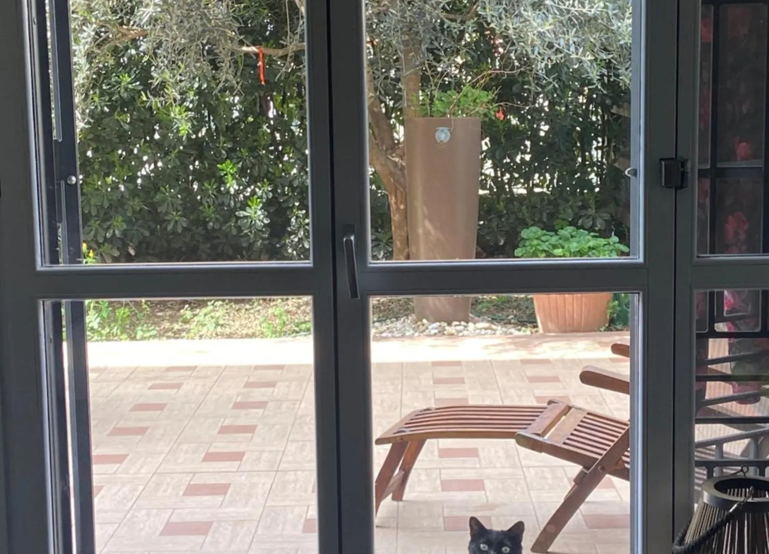 منزل للإقامة شقة Il Giardino Di Zeus كولونيو مونزيسِّ إيطاليا