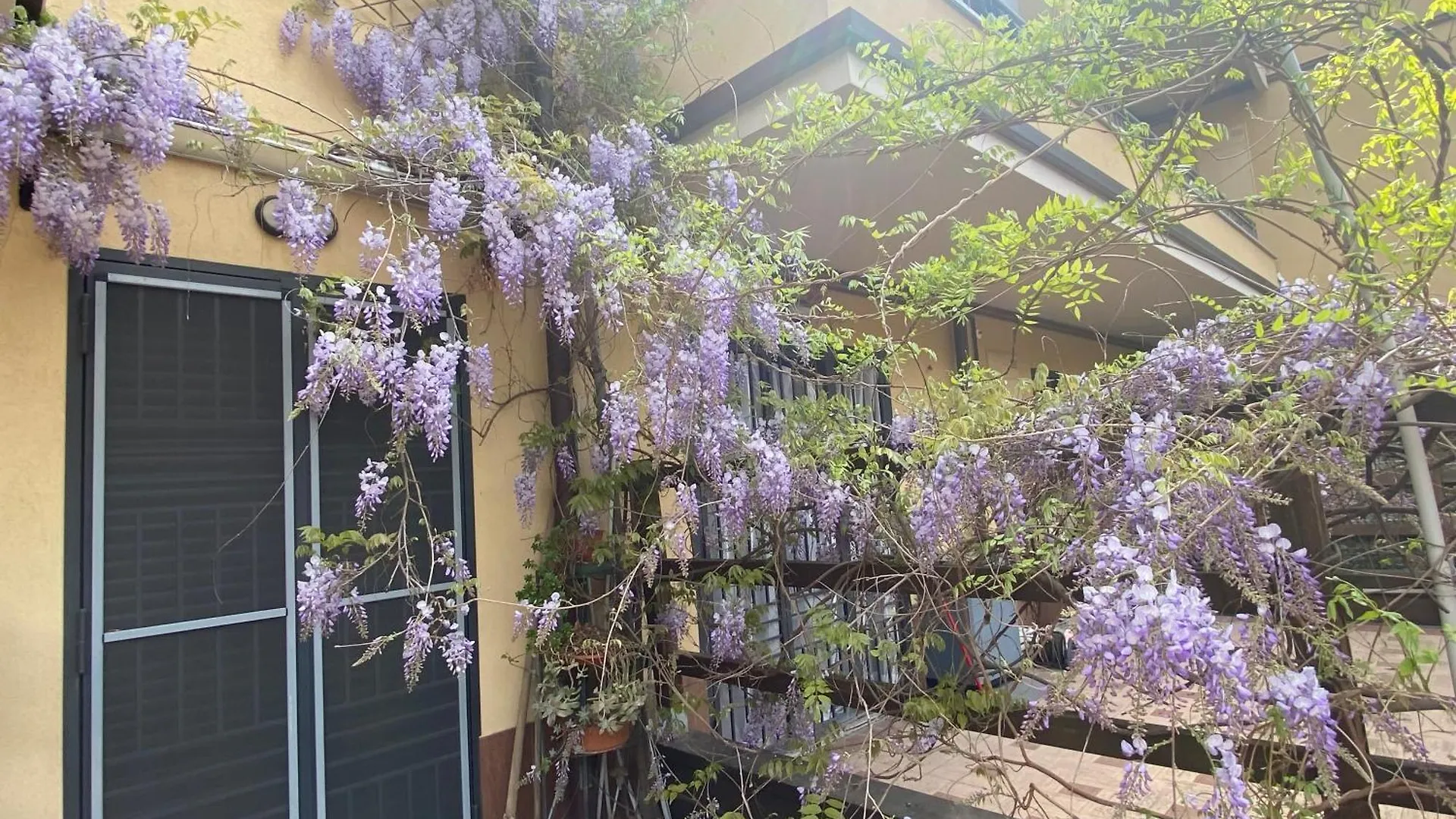 شقة Il Giardino Di Zeus كولونيو مونزيسِّ إيطاليا